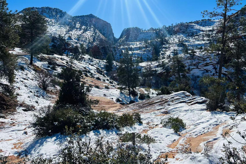 Las Vegas: Zion National Park Group Tour with Lunch