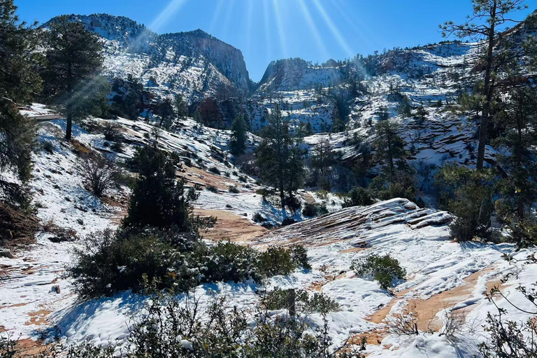 Las Vegas: Zion National Park Group Tour with Lunch