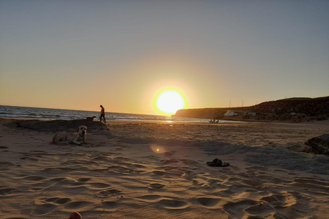 Agadir: Passeio de camelo com traslados do hotel