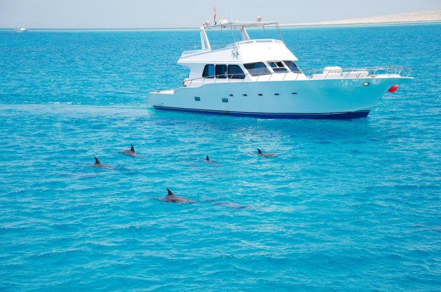 Hurghada: Tour privado en yate y por las islas para avistar delfines