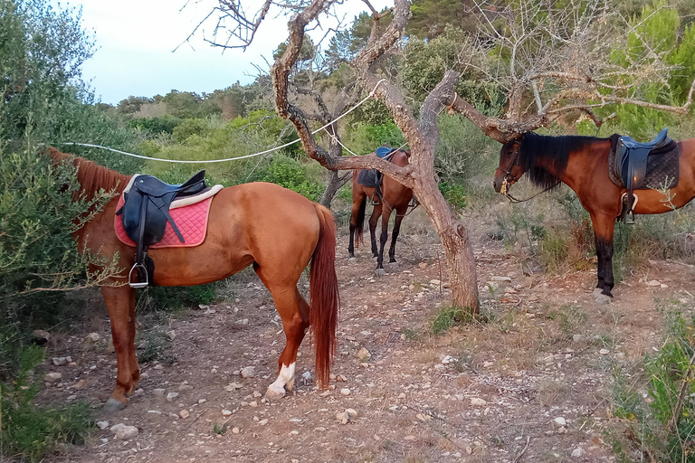 Mallorca: Randa romantische zonsondergang paardrijden met drankjes