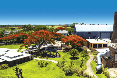 Excursion dans le nord de l&#039;île Maurice avec Port Louis et le jardin botanique