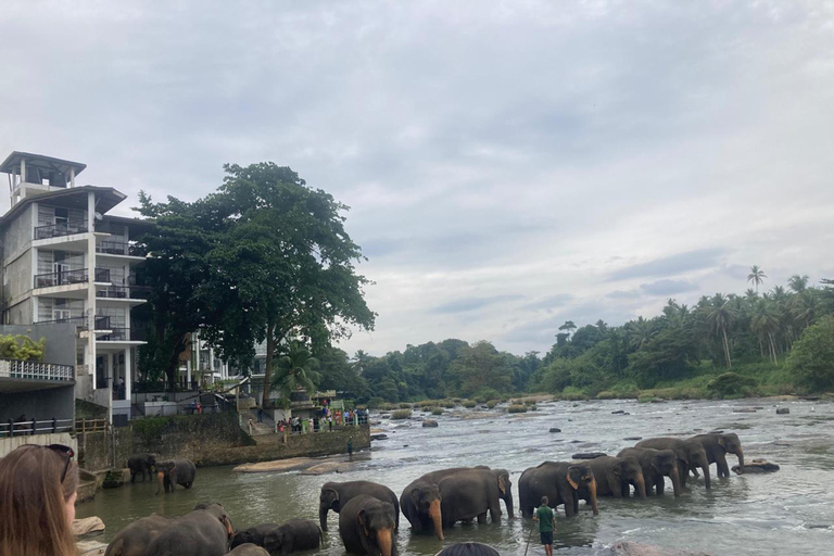 Kandy Highlights & Pinnawala Elephant Experience by Tuk-Tuk