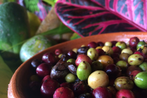 San Juan: Secrets of Espresso Walking Tour