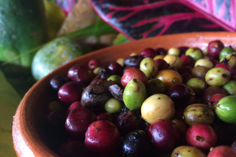 San Juan: Secrets of Espresso Walking Tour