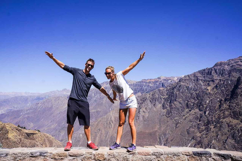 Dagvullende tour naar de Colca Canyon met transfer naar Puno