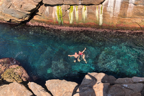 Rio: Schnorcheln & Schwimmen mit Schildkröten Tour auf den Tijuca Inseln3 Stunden Schnorcheln und Schwimmen mit Schildkröten Tour auf den Tijuca Inseln