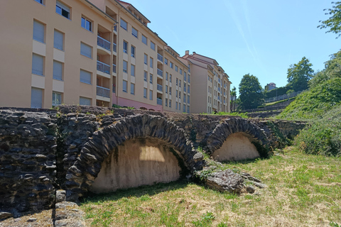 Lugdunum: Lyon, a Roman Colony Lugdunum: Lyon, a Roman colony