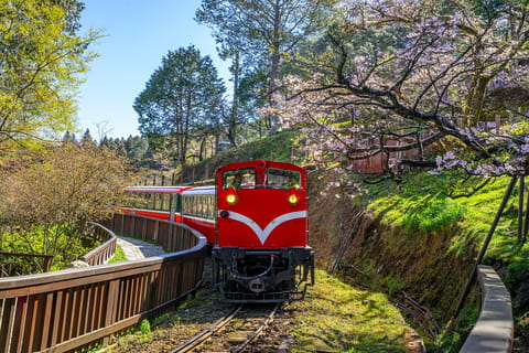 From Taipei: Alishan 2-Day Private Tour - Image 2