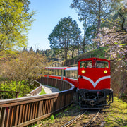 From Taipei: Alishan 2-Day Private Tour
