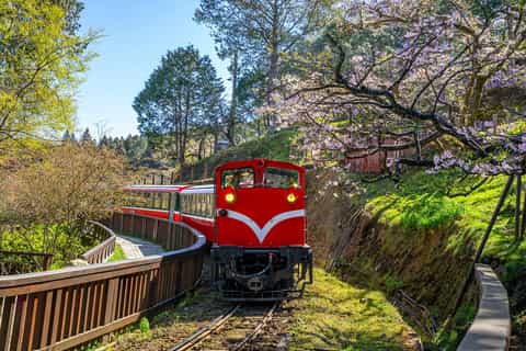 From Taipei: Alishan 2-Day Private Tour - Image 3