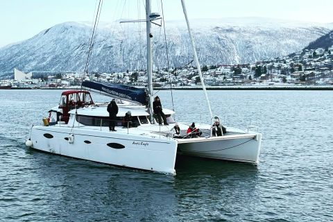 Tromsø: crociera panoramica nel fiordo artico in catamarano di lusso