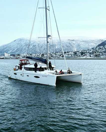 Tromsø: crociera panoramica nel fiordo artico in catamarano di lusso