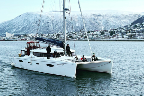 Tromsø : croisière privée en catamaran dans le fjord arctique