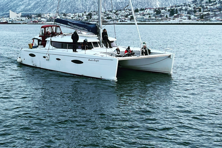 Tromsø: cruzeiro turístico no fiorde ártico em catamarã de luxoTromsø: Cruzeiro turístico pelo Fiorde Ártico em um catamarã de luxo