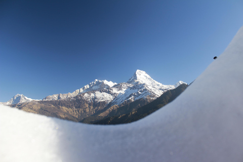 Pokhara: 4 Day Poon Hill Trek with 3 Day National Park Tour