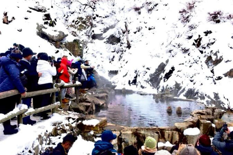 From Tokyo: Nagano Full Day Private Snow Monkey Park Tour