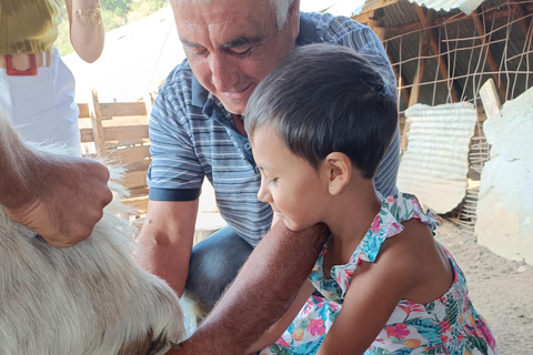 Thessaloniki: Visit a Farm and a traditional Village Visit a goat and sheep farm