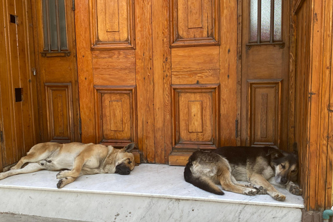 Mon amour Valparaiso, le joyau du Pacifique ; visite d&#039;une journée