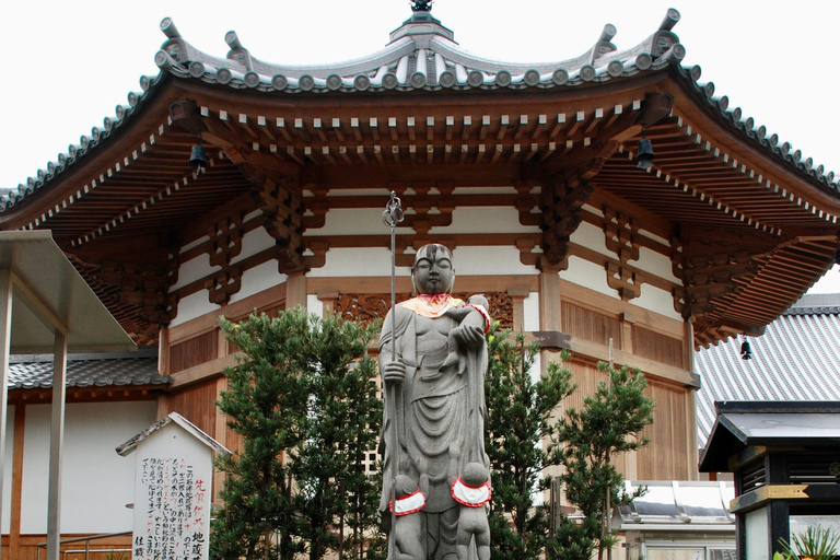 Nara Kyoto: Private Kyoto Tour with English Speaking Guide