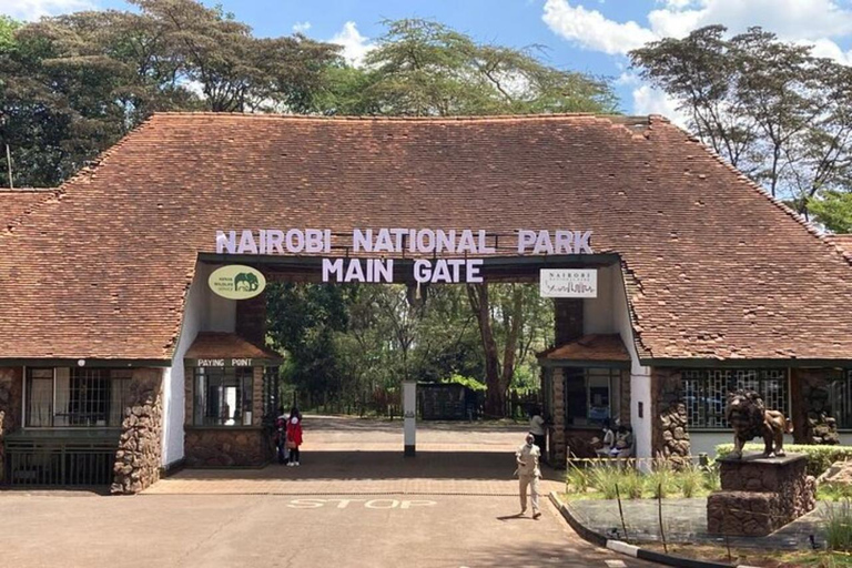 Nairobi National Park: Small-Group Sunrise Game Drive Safari