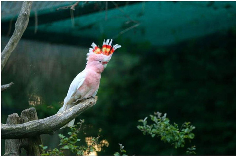 From Batumi: Georgian Amazon & Kolkheti Park Tour