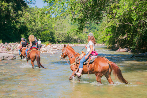 Puerto Vallarta: Advanced Jungle Horseback Riding Tour