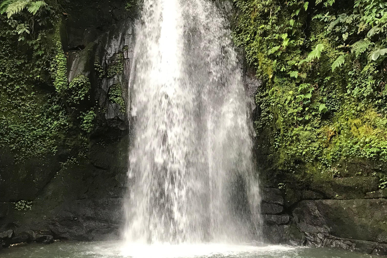 Ubud:Foresta delle scimmie, terrazze di riso, templi d&#039;acqua e cascate
