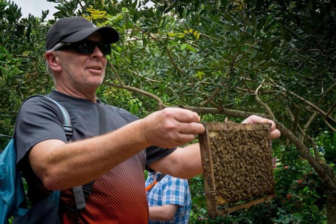 Mekong Delta Full Day Tour | From Ho Chi Minh, Vietnam
