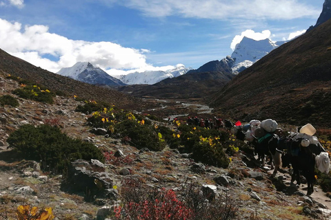 Komfortowa wędrówka do Everest Base Camp — 18 dni