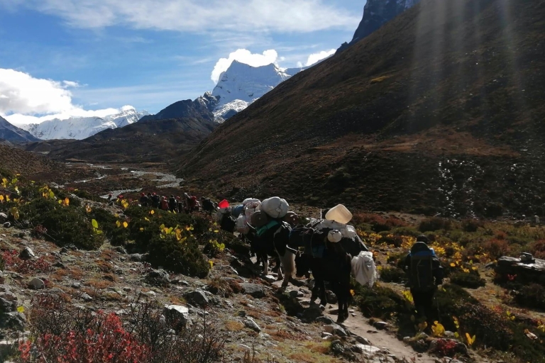 Komfortowa wędrówka do Everest Base Camp — 18 dni