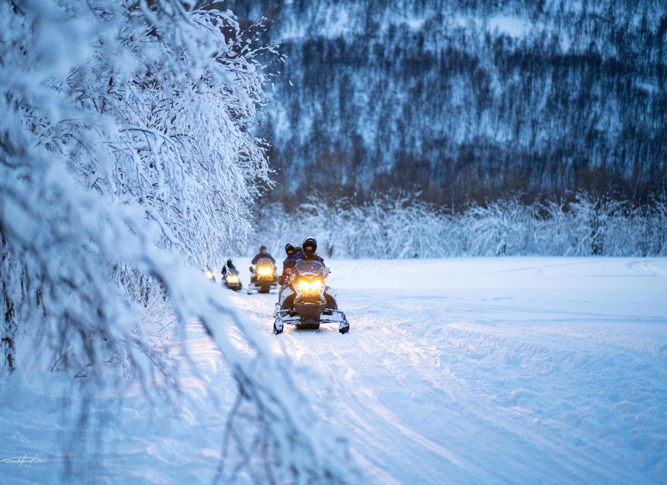 Tromsø: Lokal snescooteroplevelse