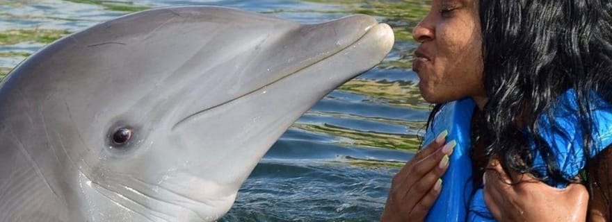 Montego Bay : Nager avec les dauphins à Lucea