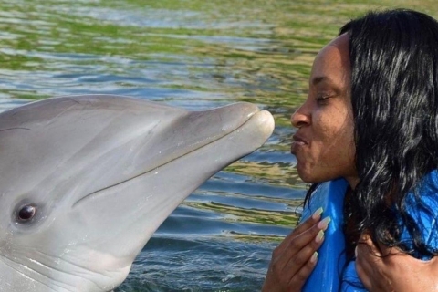 Montego Bay: Swim With The Dolphins Adventure in Lucea Royal Swim: Excellence, Ocean Coral Spring