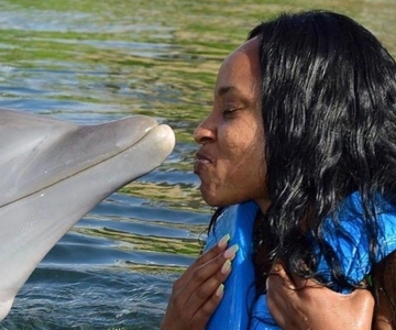 Montego Bay: Swim With The Dolphins Adventure in Lucea