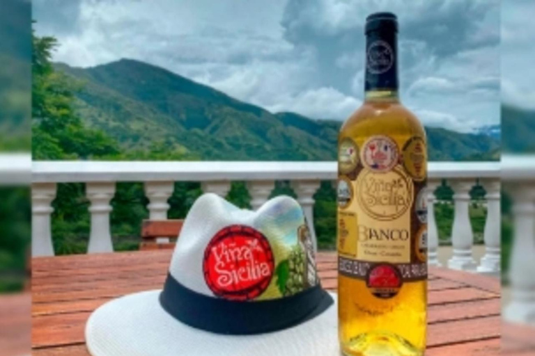 Medellin: Wine Tour in Antioquia, Flavors and unforgettable moments