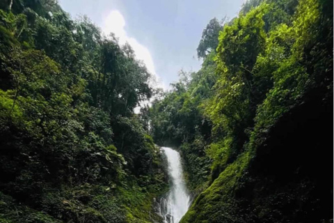 Kigali: 2-Day Nyungwe Rainforest Adventure with Zipline