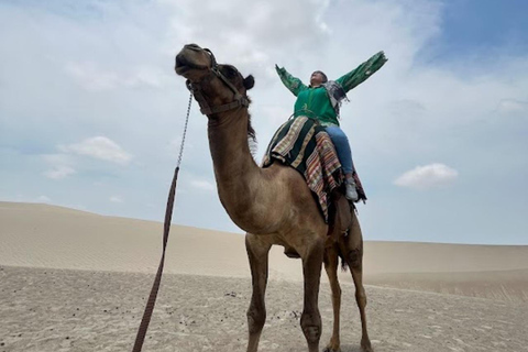 Lima: Ica Camel ride + Huacachina + "Adventure in the Desert" pool Lima: Ica Camel Ride + Huacachina + Swimming Pool "Adventure in the Desert"