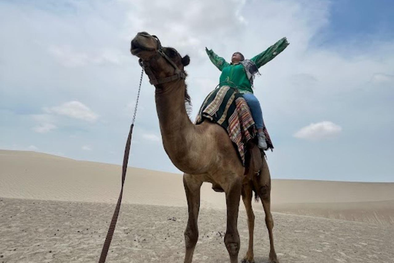 Lima: Ica Camel ride + Huacachina + "Adventure in the Desert" pool Lima: Ica Camel Ride + Huacachina + Swimming Pool "Adventure in the Desert"