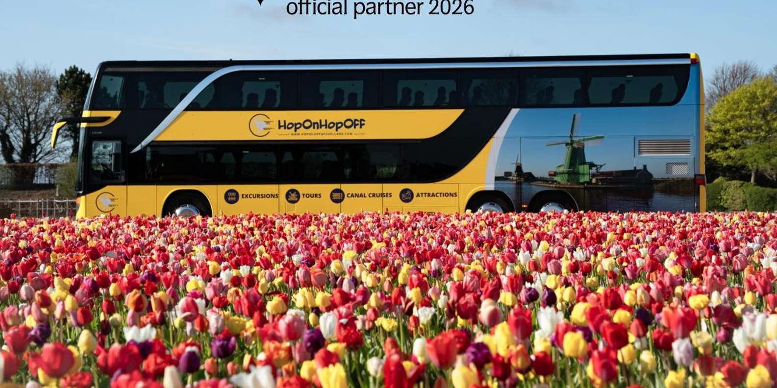 Keukenhof Gardens tulips and flowers — photo 19