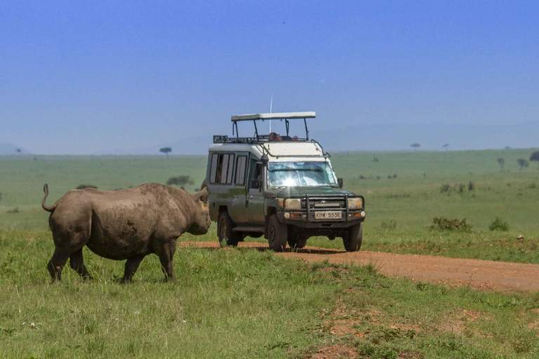 塔兰吉雷国家公园和恩戈罗恩戈罗保护区 2 日游。塔兰吉雷国家公园和恩戈罗恩戈罗火山口 2 日游。
