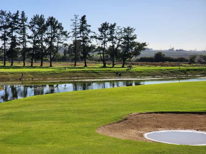 Devonvale and Ernie Els : Golf and Wine Tasting Experience | GetYourGuide