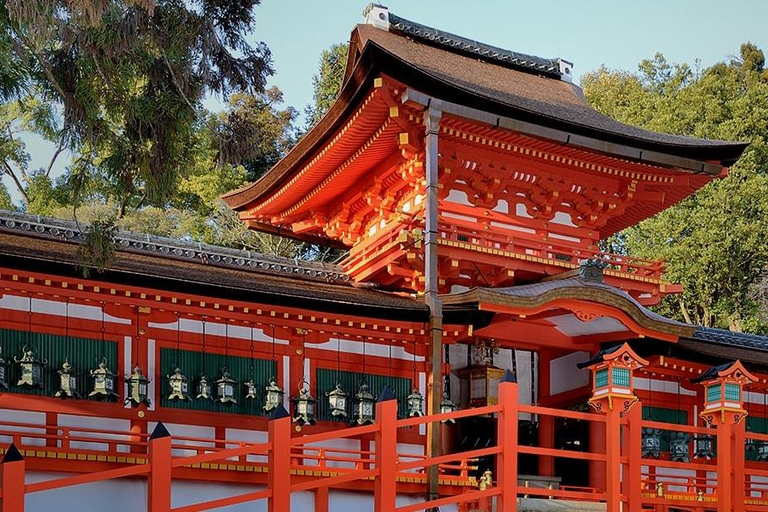 Osaka:Nara & Uji In-depth One-Day Tour丨Deer Feeding