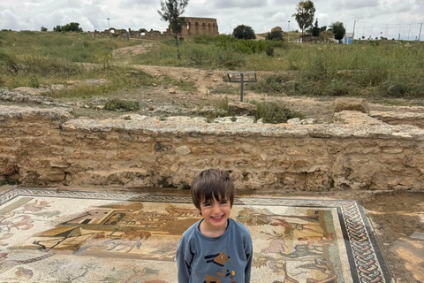 From Tunis: Bardo Museum, Oudhna & Aqueduct Private Tour