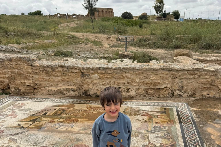 From Tunis: Bardo Museum, Oudhna & Aqueduct Private Tour