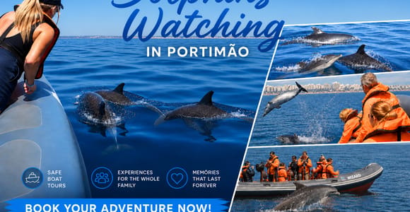 Dolphin Watching Boat Tour from Portimão – Small Group