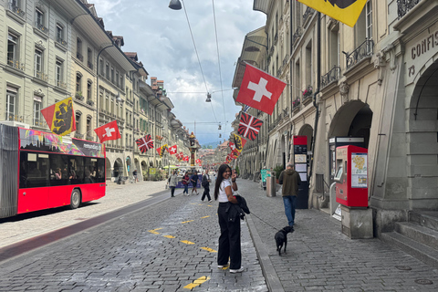 From Zurich: Private Day Trip to Bern’s Top Sights
