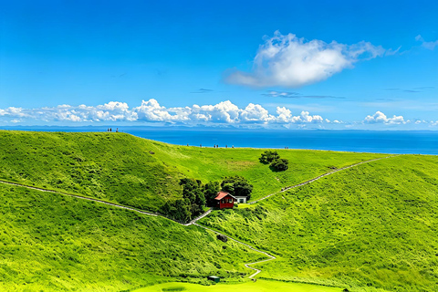 Small Group Day Tour:Omuro Mountain & the Izu Scenic Railway Hotel Transfer Option