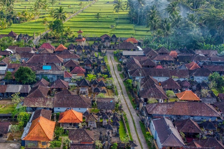 Bali: Taro Village and Holy Spring Water Temple Tour