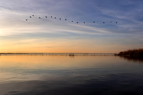 Peñiscola com bilhete para o castelo e passeio de barco na Albufera